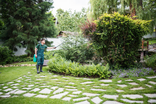 Best Ant Control Services  in Ashville, OH