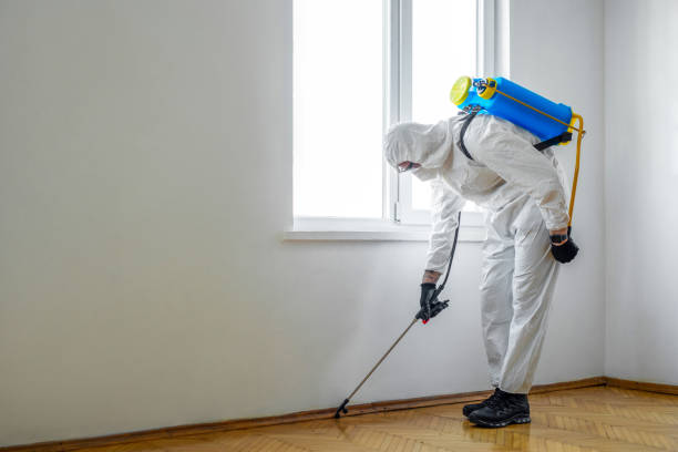 Best Mosquito Control Services  in Ashville, OH