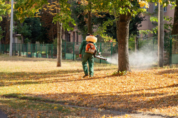  Ashville, OH Pest Control Pros